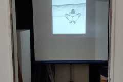IMG-20240313-WA0034