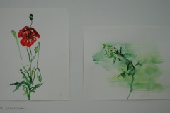 Aquarell20