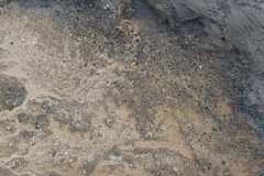 WhatsApp-Bild-2025-09-10-um-14.36.55_74c9dbde