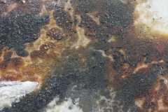 WhatsApp-Bild-2025-09-10-um-14.36.55_e392e089