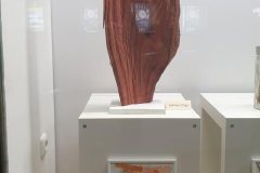 20210429_212847-rotated