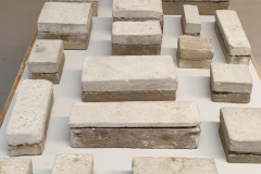 240726323_4924627420885695_3346137824340518029_n