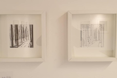 240809326_4924626537552450_8220581438229320586_n