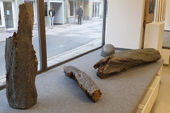 240845179_4924628854218885_5534092520459978462_n