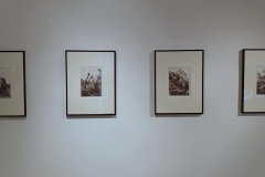 240908025_4924626174219153_5100965291455151046_n